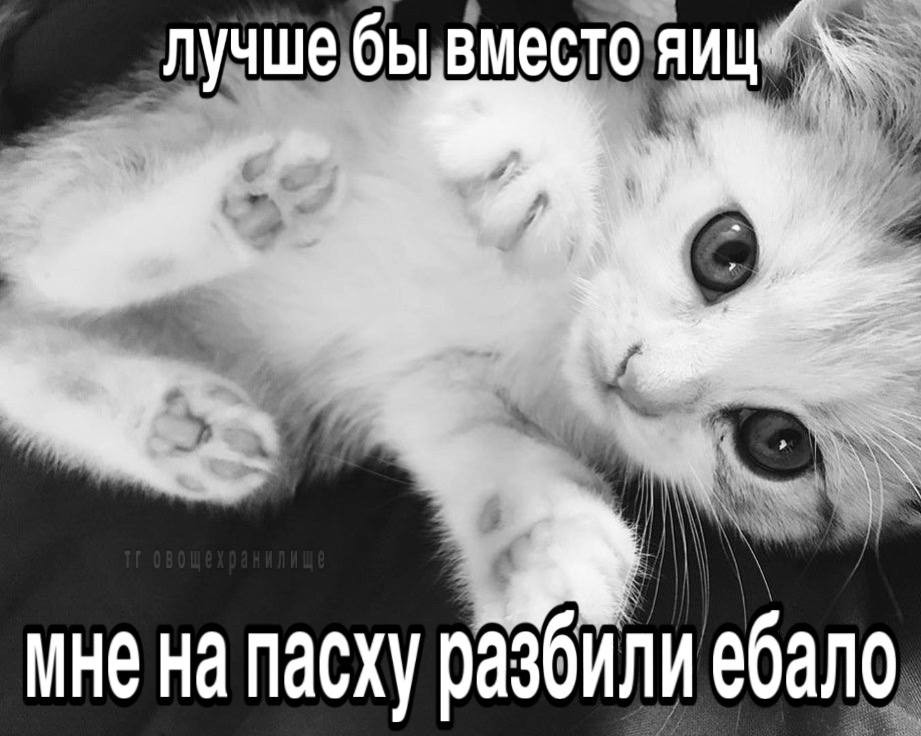 {TEXT?}
