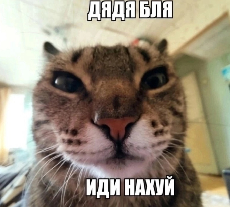 {TEXT?}