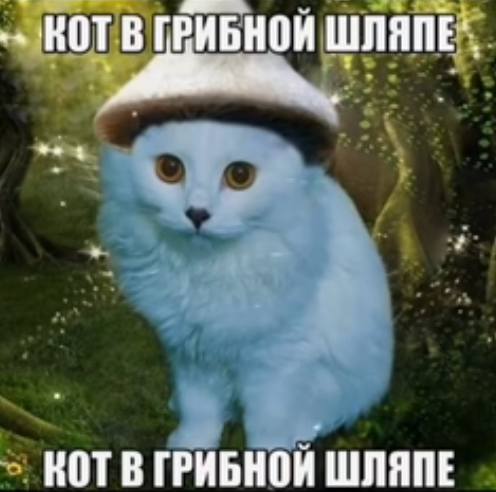 {TEXT?}