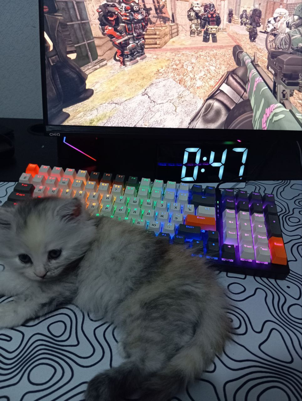 {TEXT?}