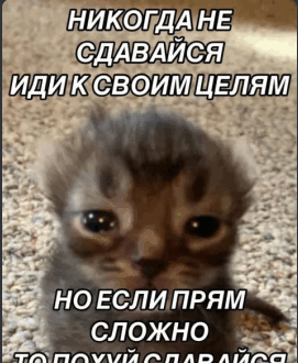 {TEXT?}