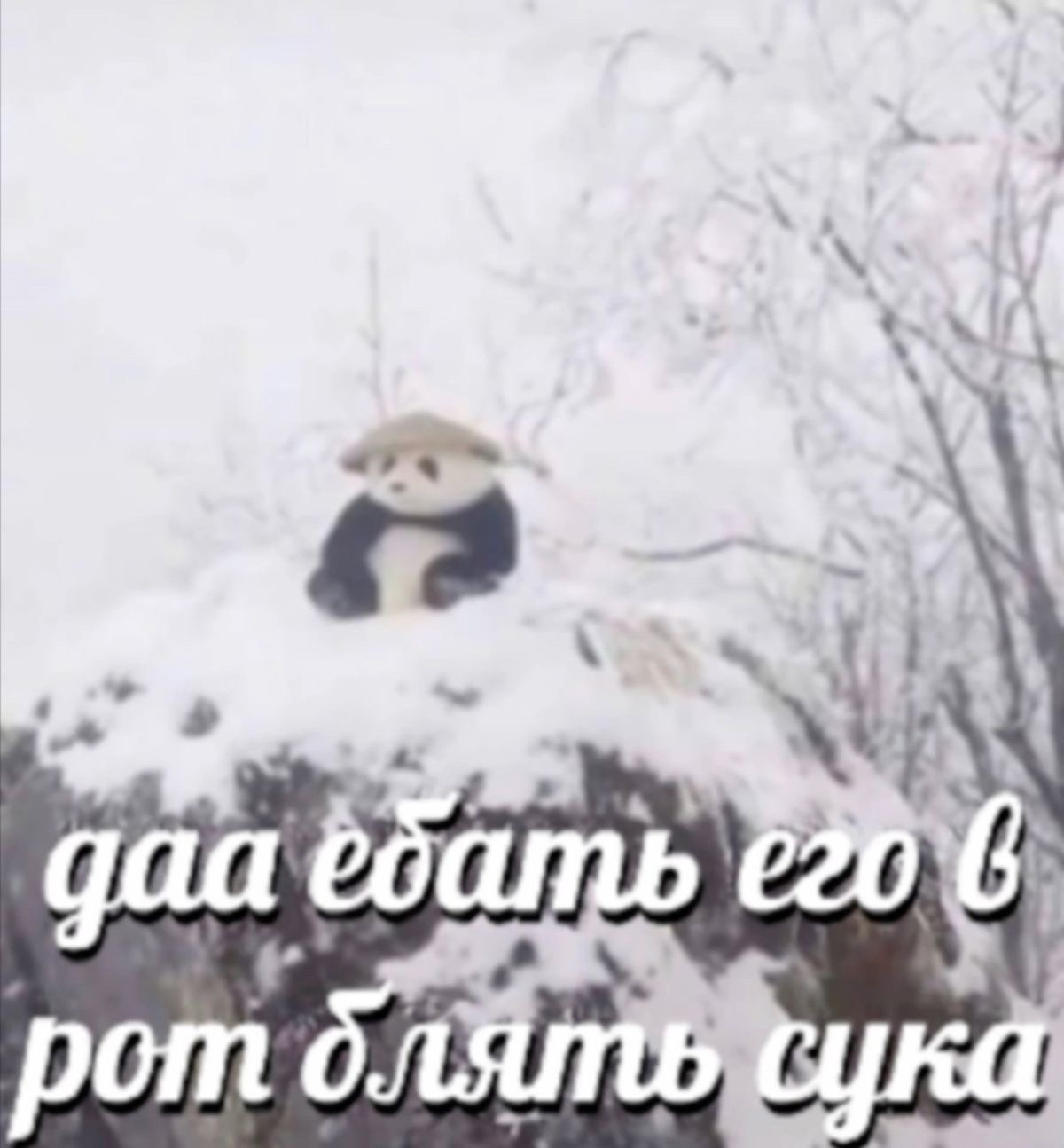 {TEXT?}