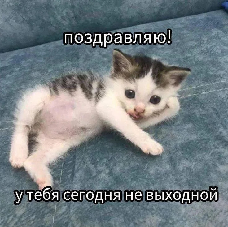 {TEXT?}