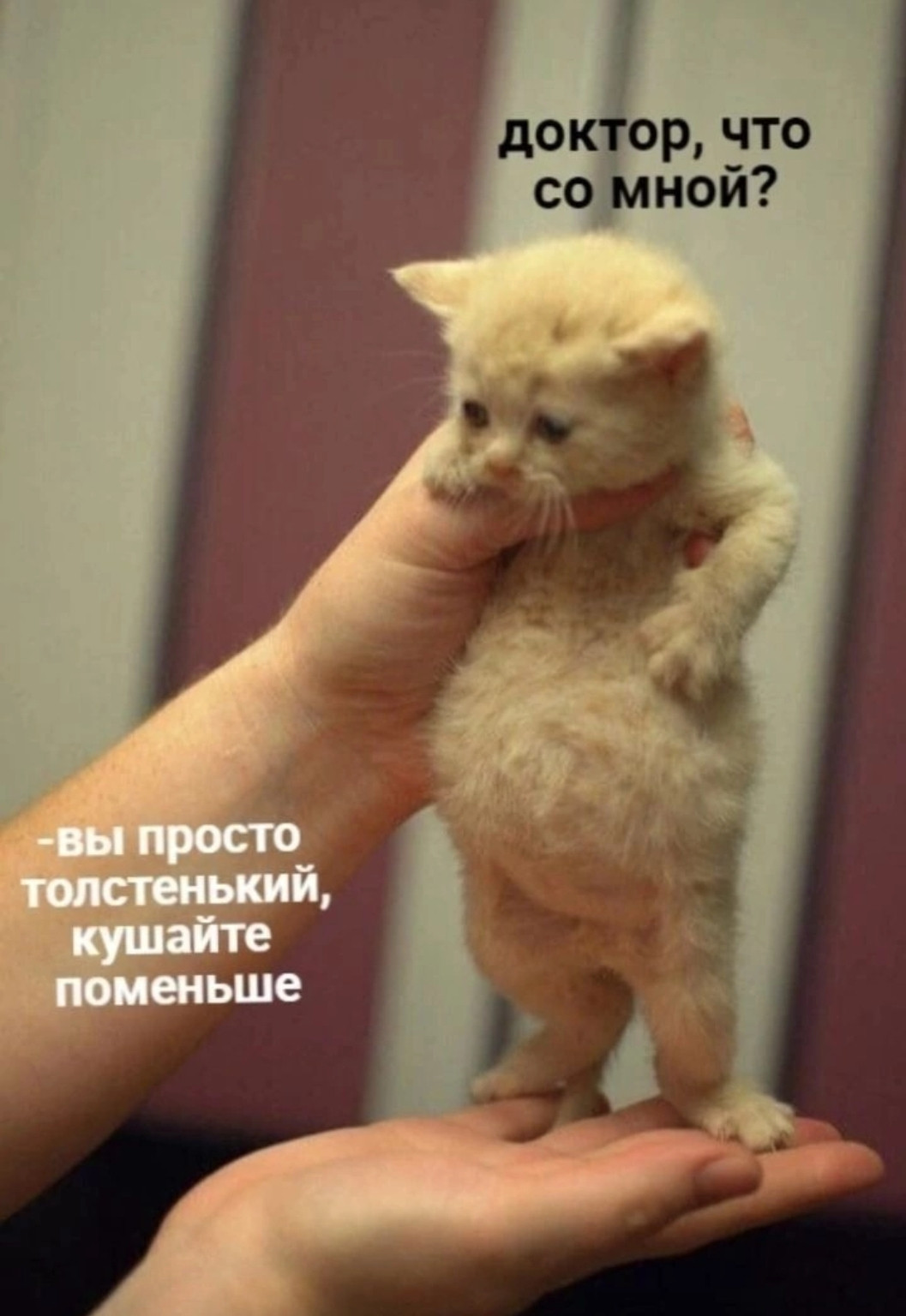 {TEXT?}
