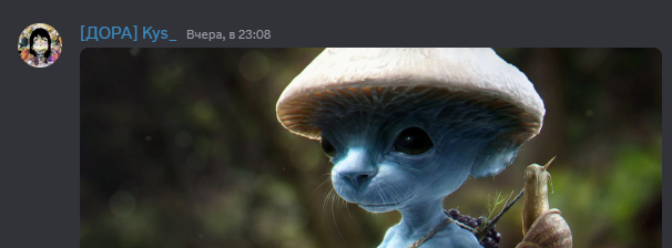 {TEXT?}