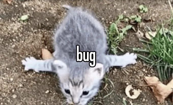 {TEXT?}