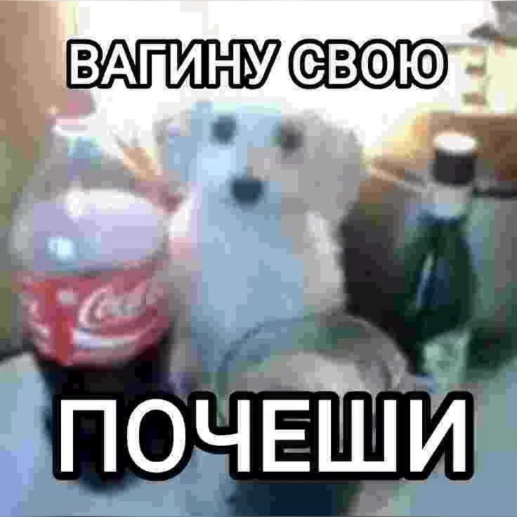 {TEXT?}