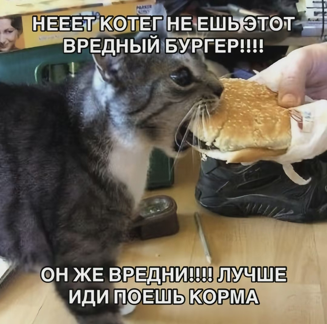 {TEXT?}