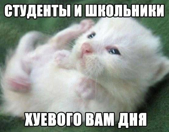 {TEXT?}