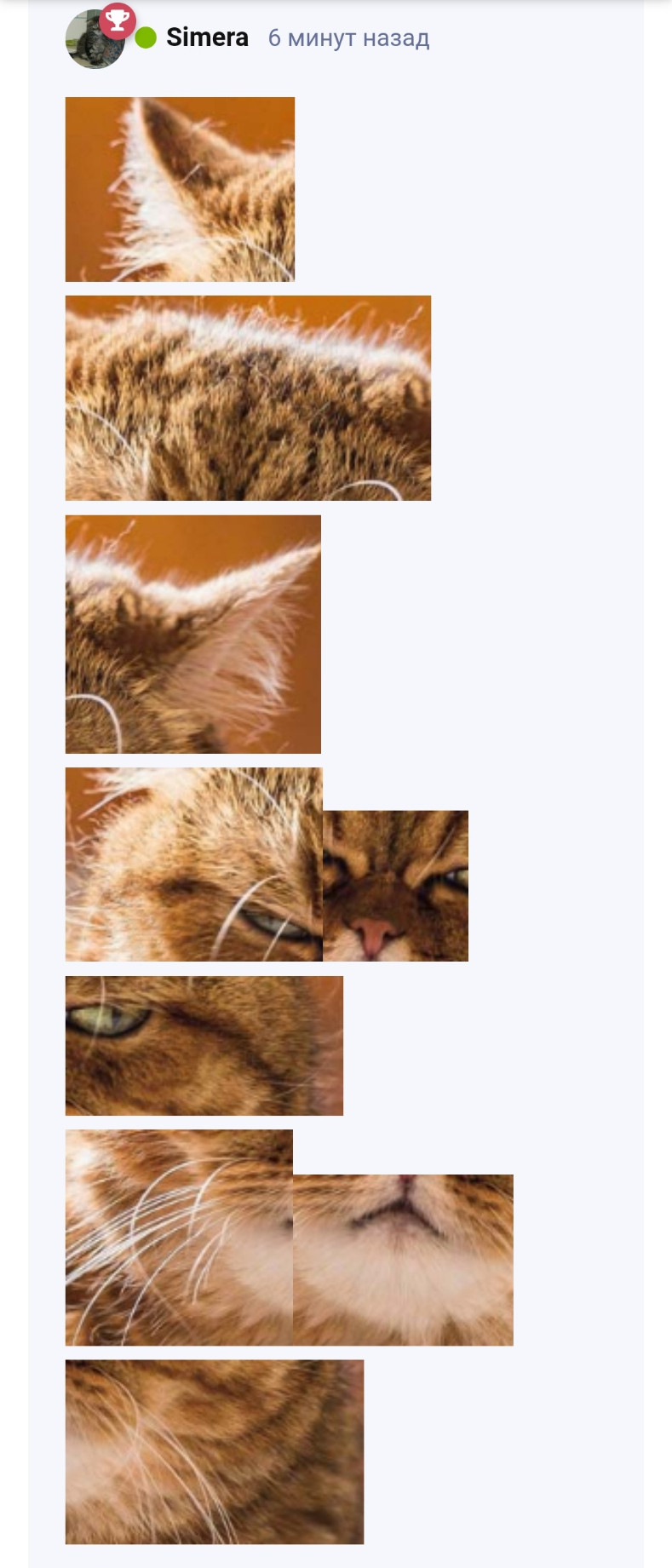 {TEXT?}
