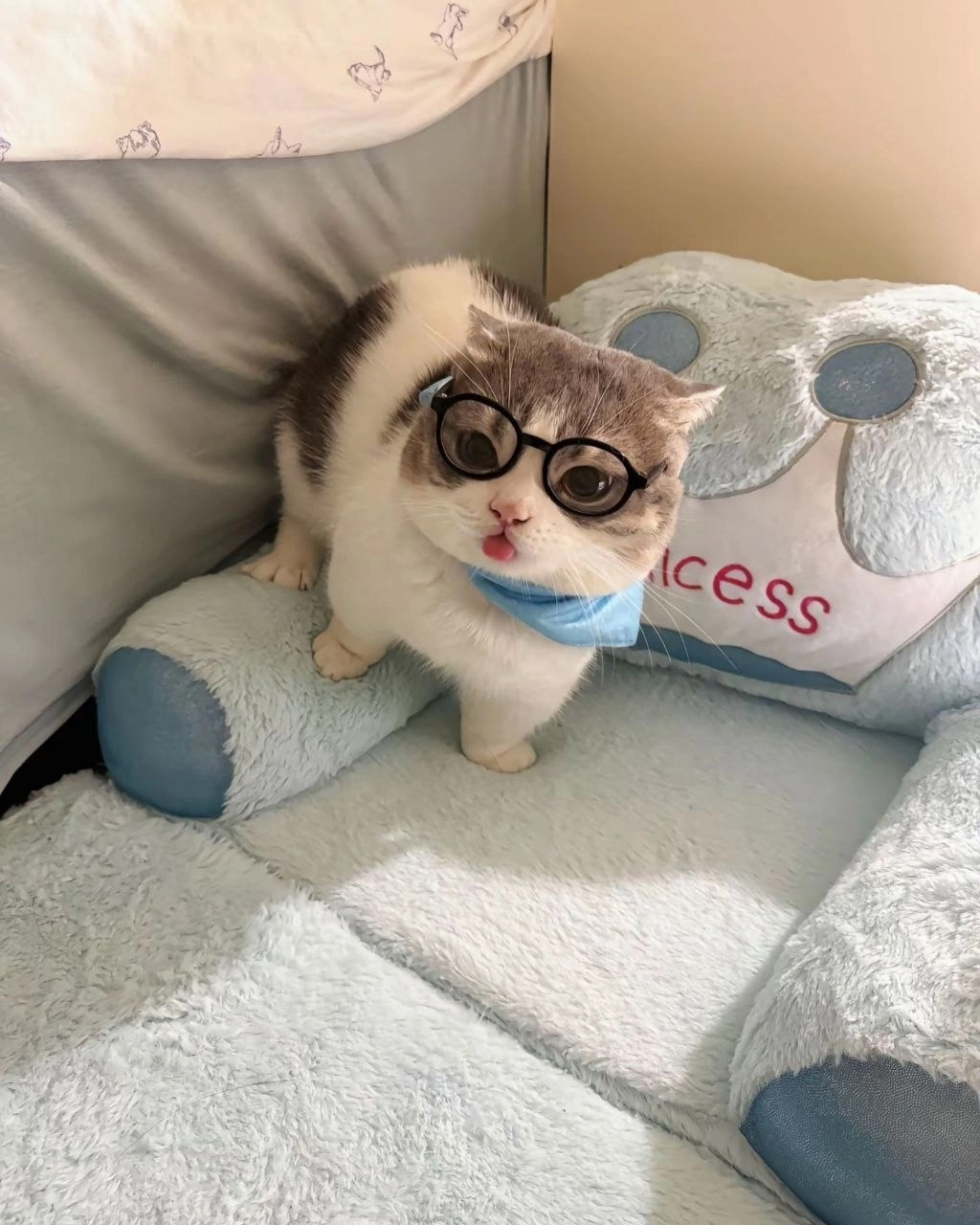 {TEXT?}
