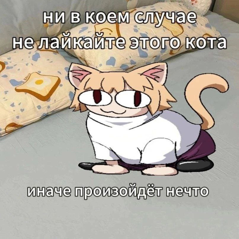 {TEXT?}