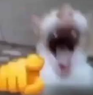 {TEXT?}