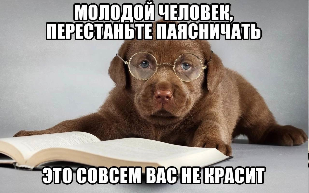 {TEXT?}