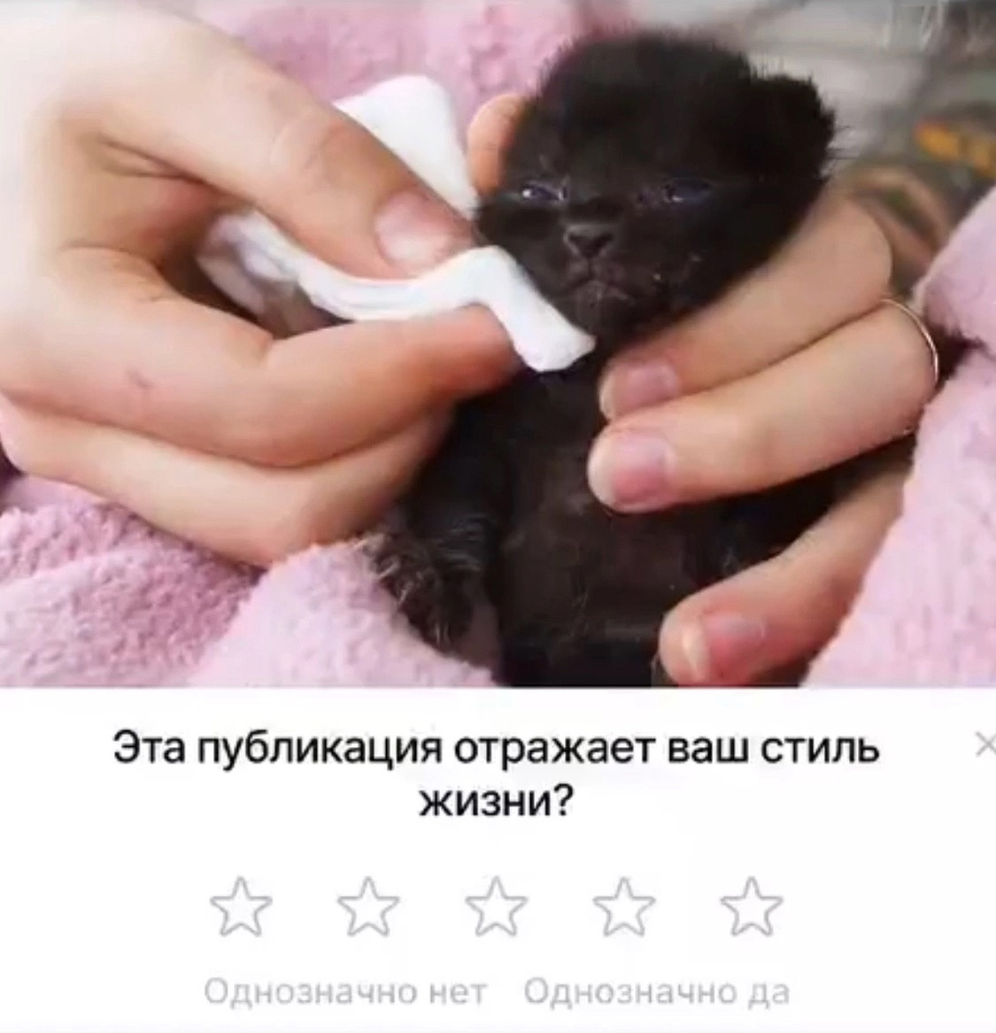 {TEXT?}