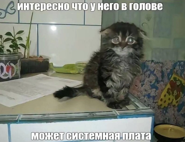 {TEXT?}