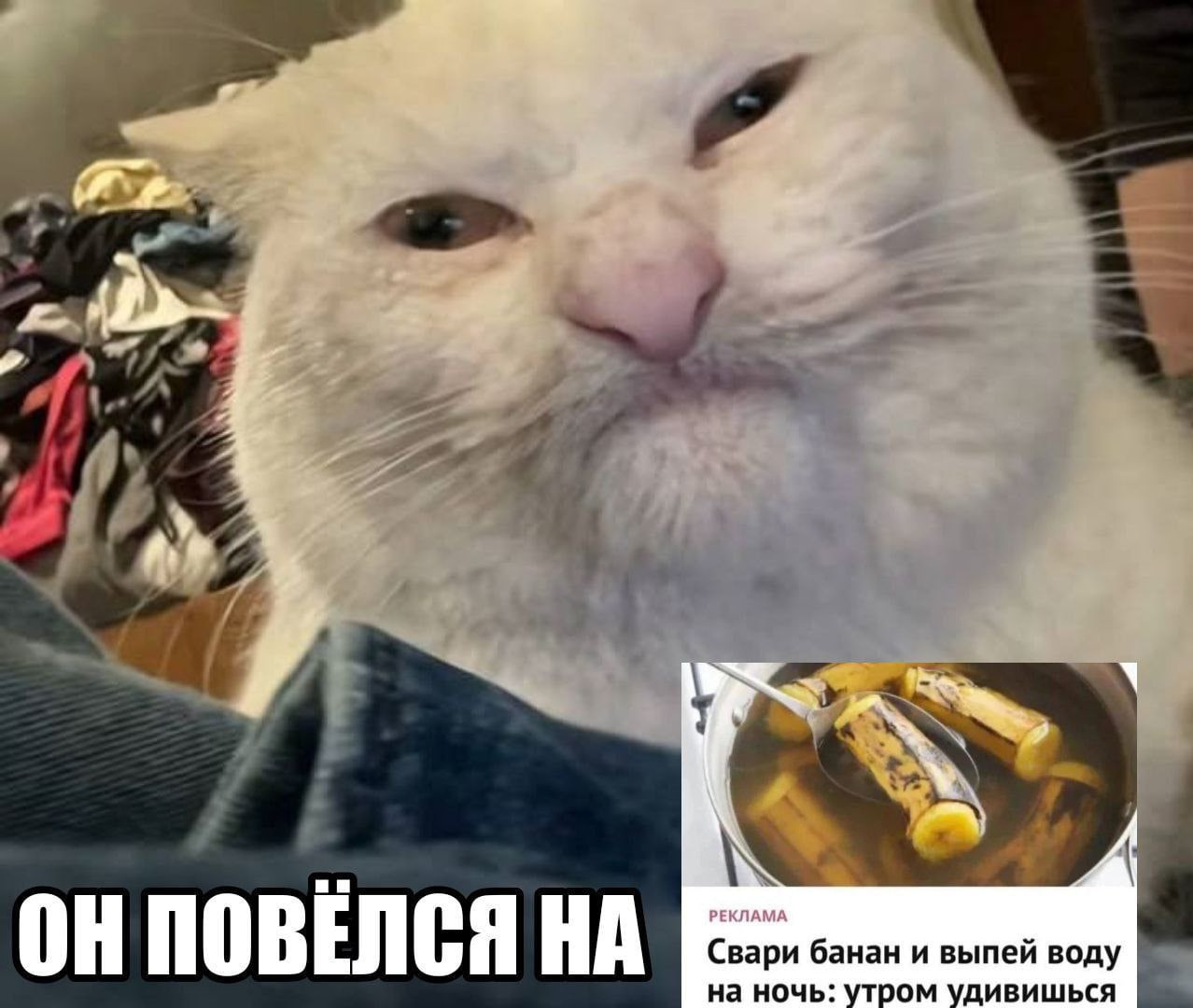 {TEXT?}