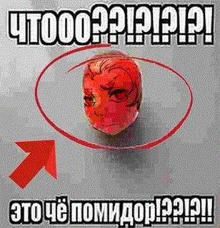{TEXT?}