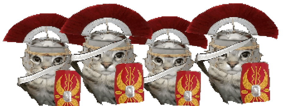 {TEXT?}