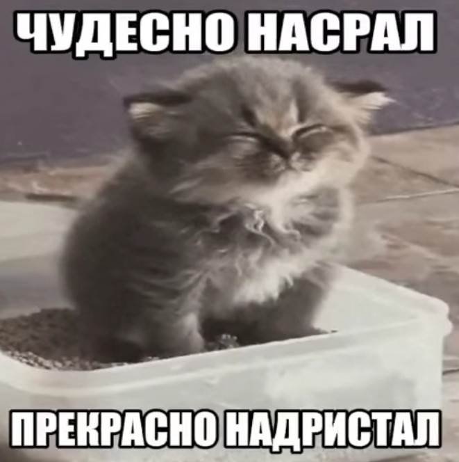 {TEXT?}