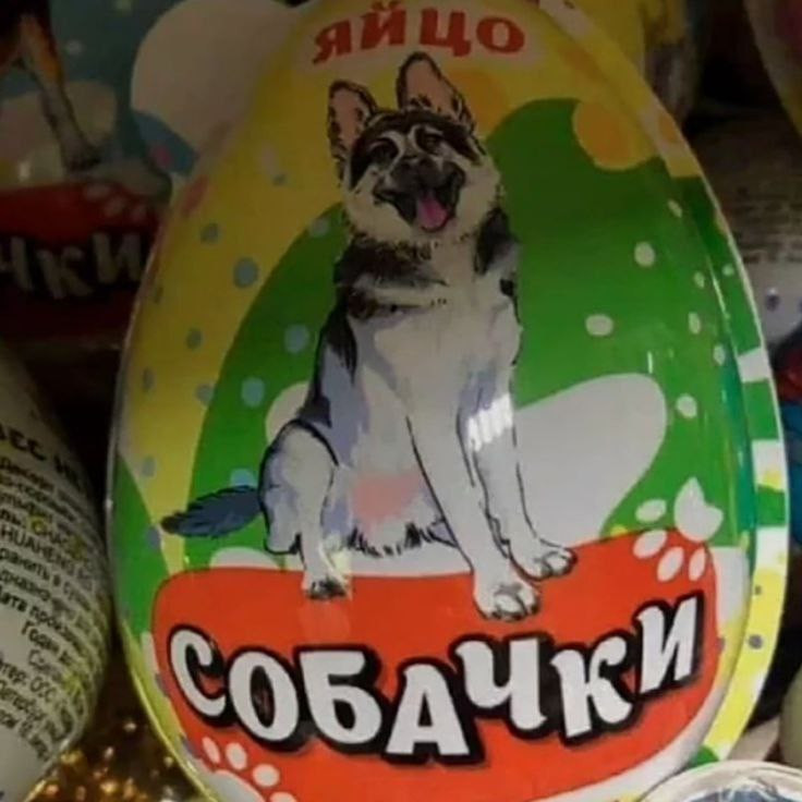 {TEXT?}
