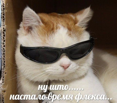 {TEXT?}