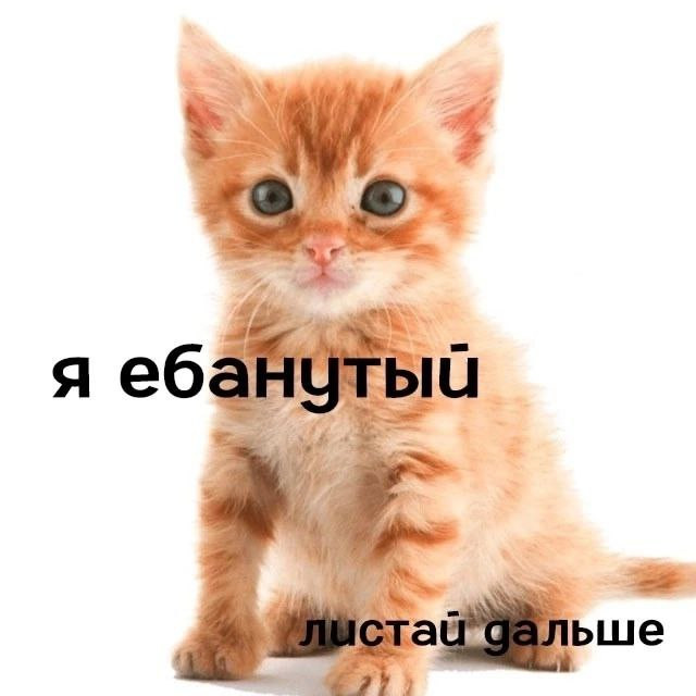 {TEXT?}