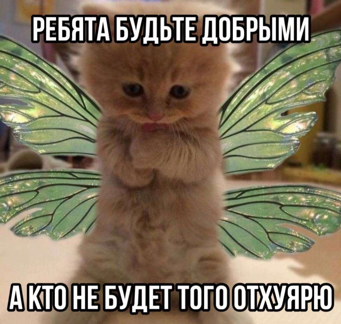 {TEXT?}