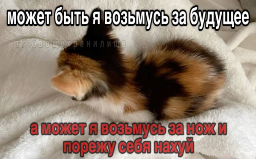 {TEXT?}