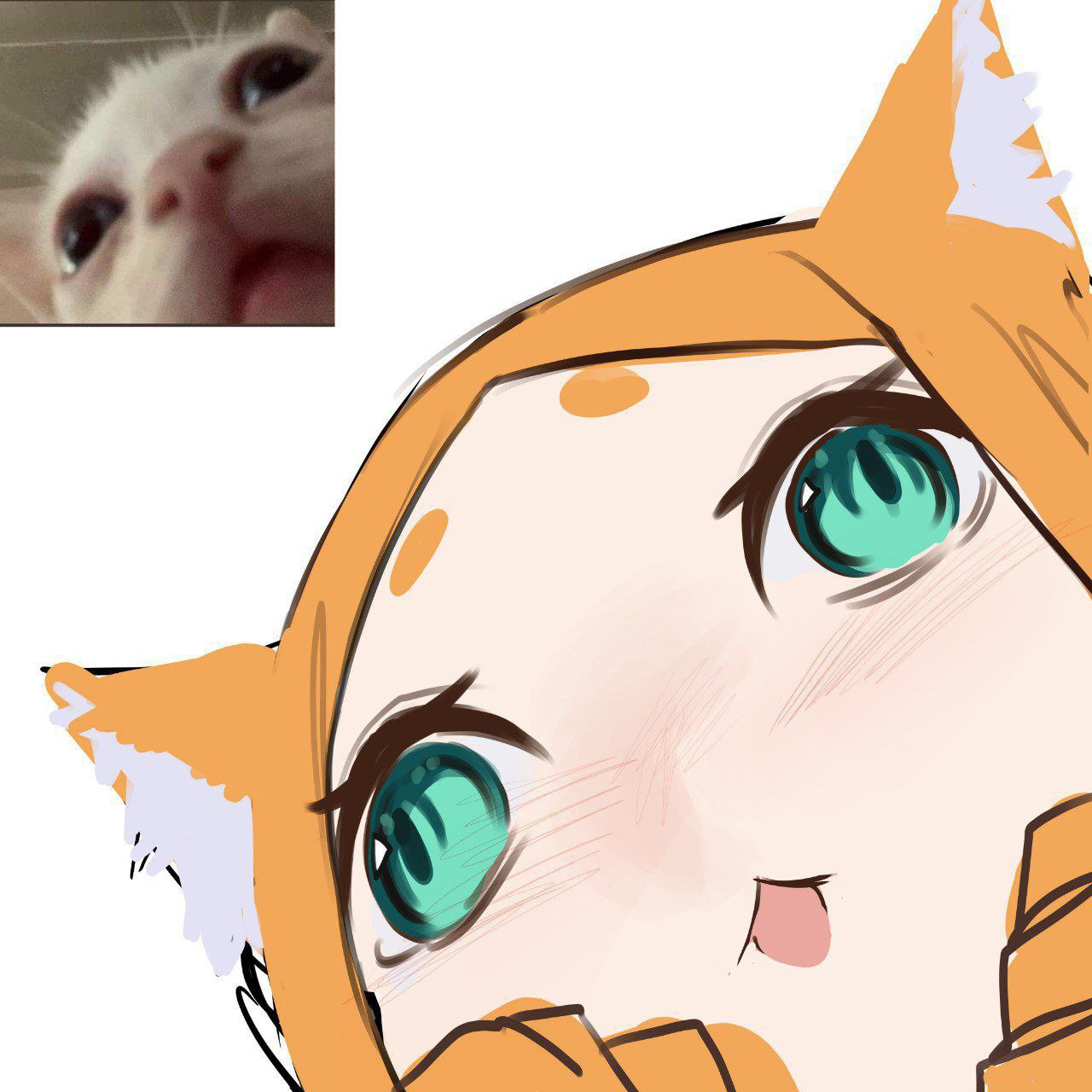 {TEXT?}