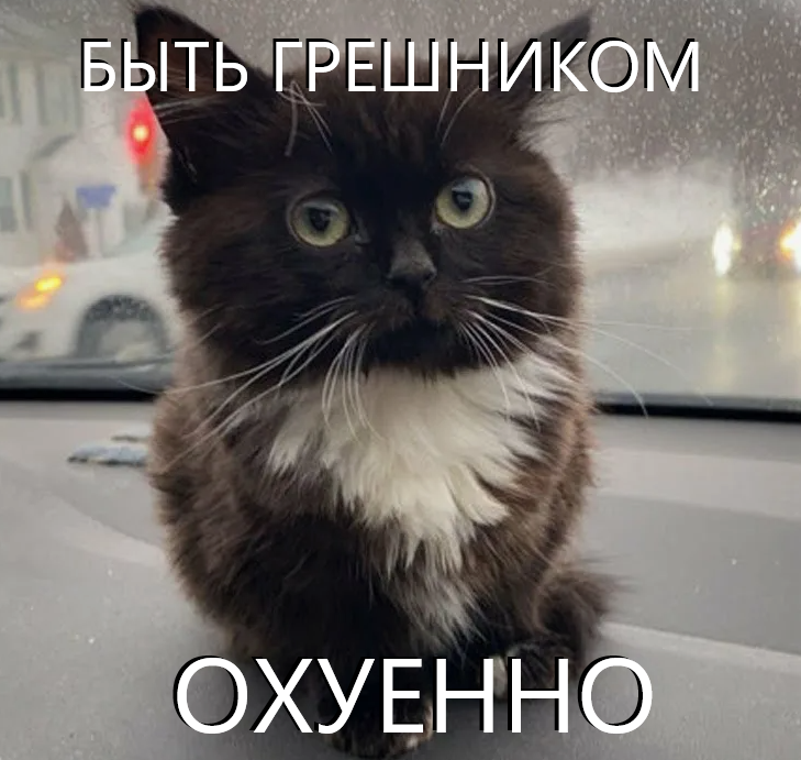 {TEXT?}