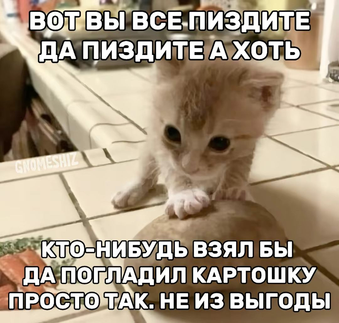 {TEXT?}