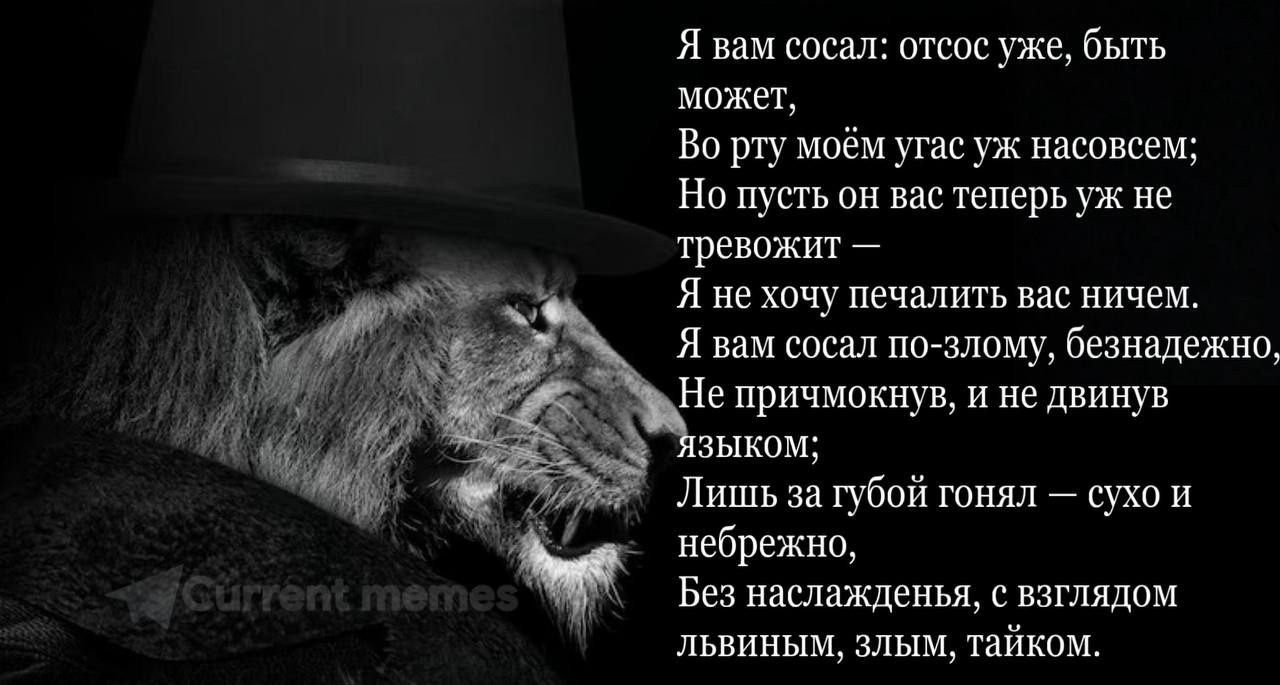 {TEXT?}