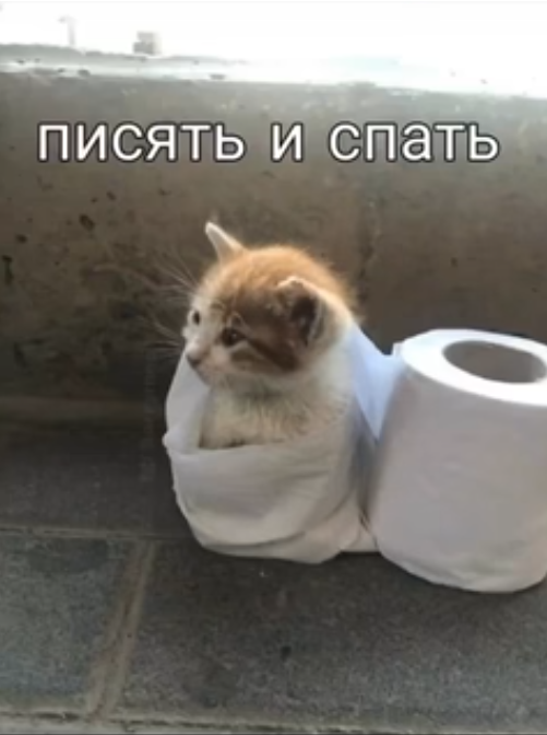 {TEXT?}