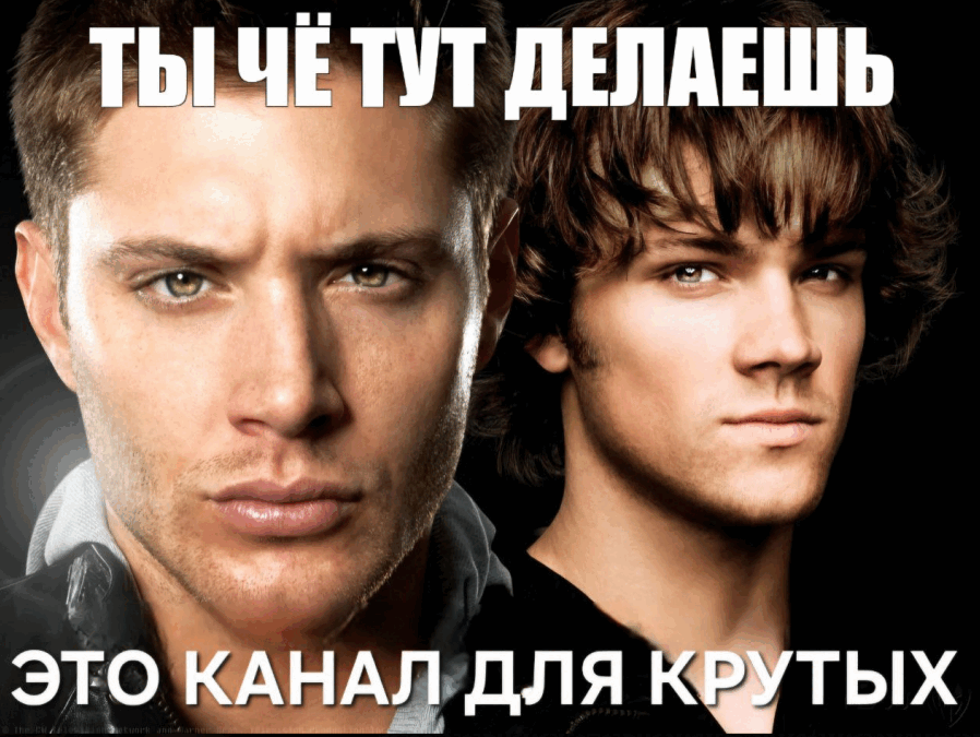 {TEXT?}