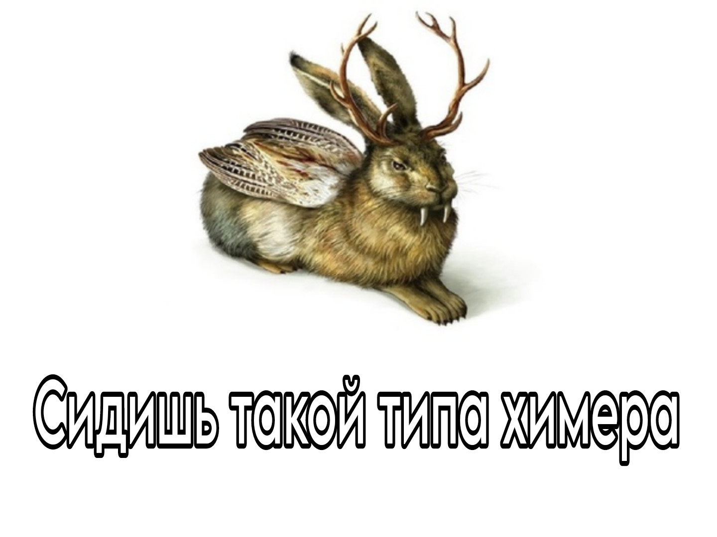 {TEXT?}