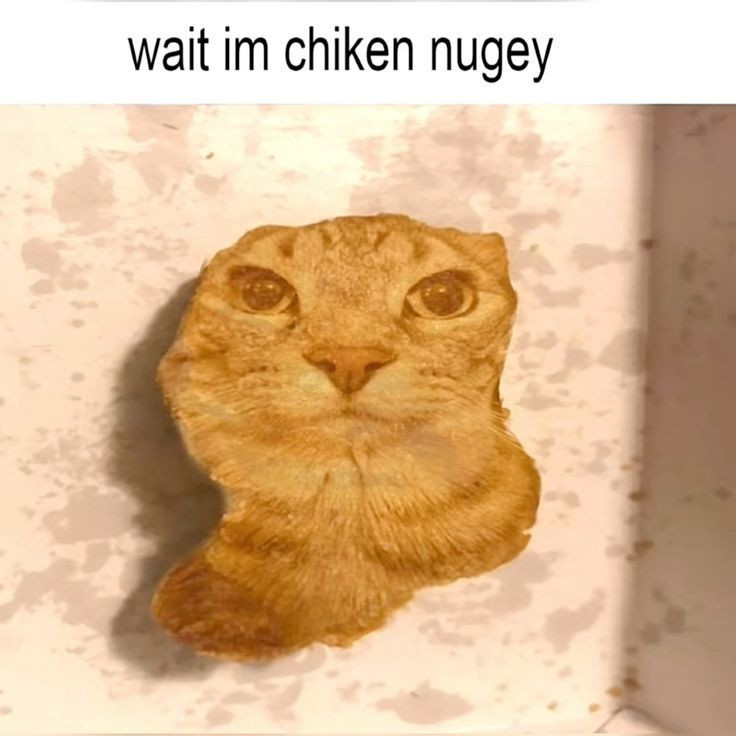 {TEXT?}
