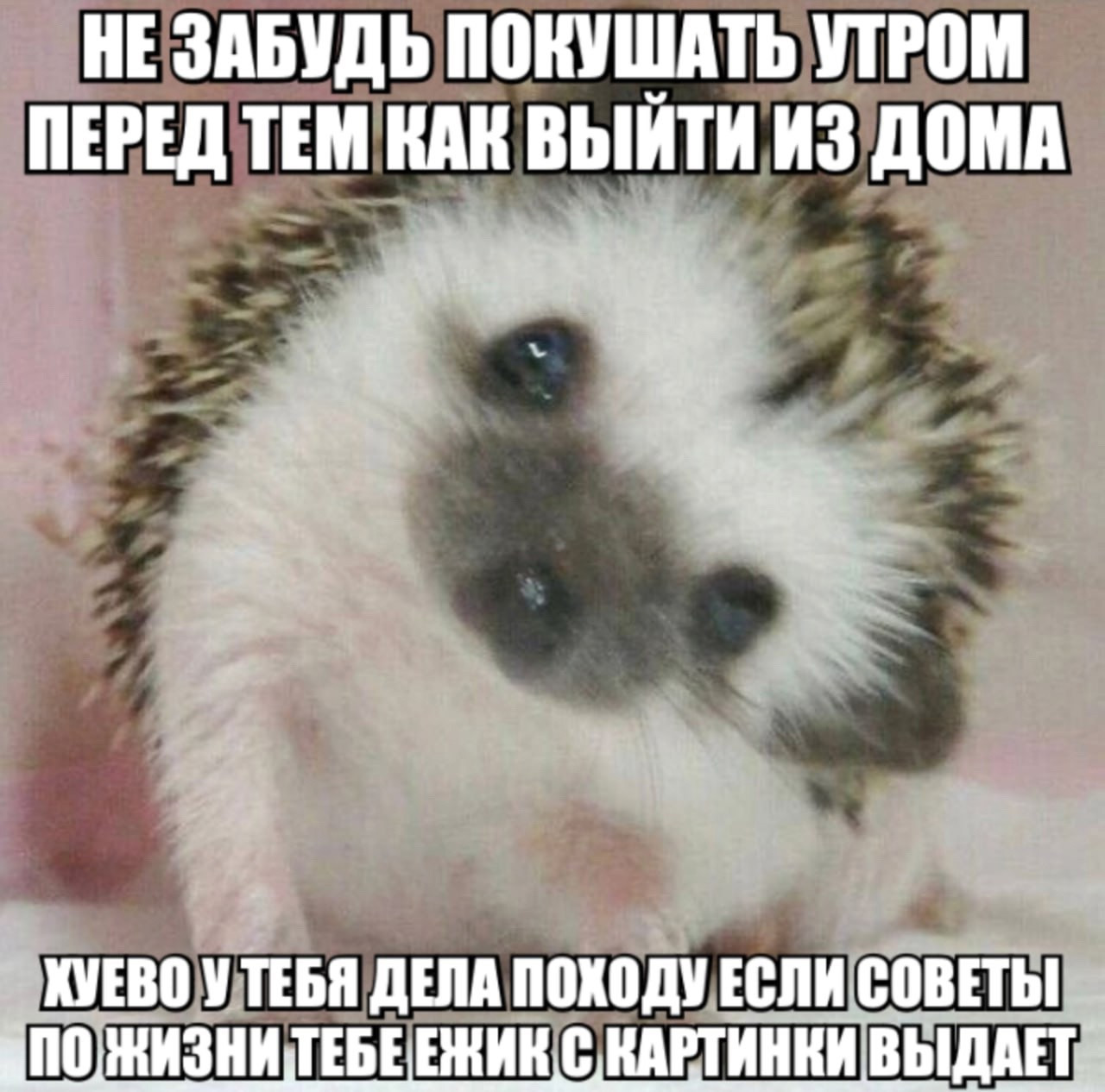 {TEXT?}