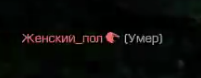 {TEXT?}