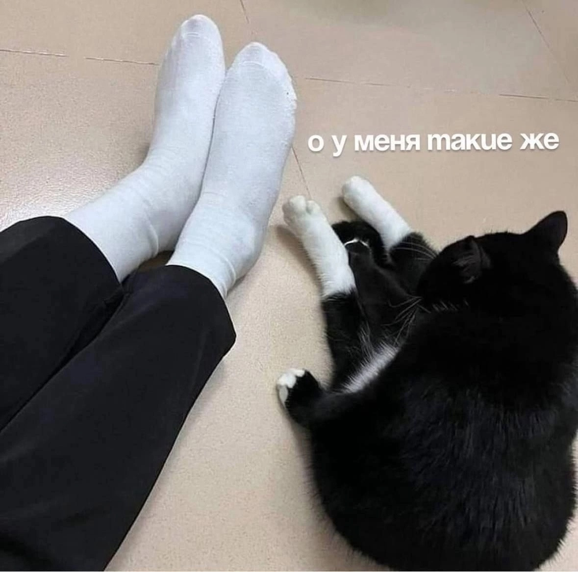 {TEXT?}