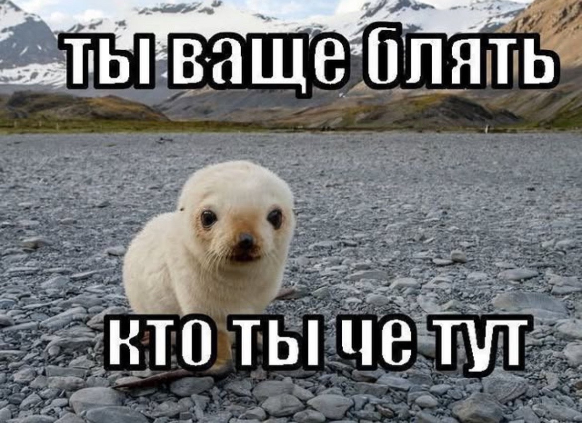 {TEXT?}