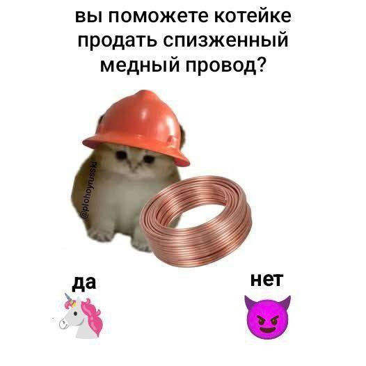 {TEXT?}