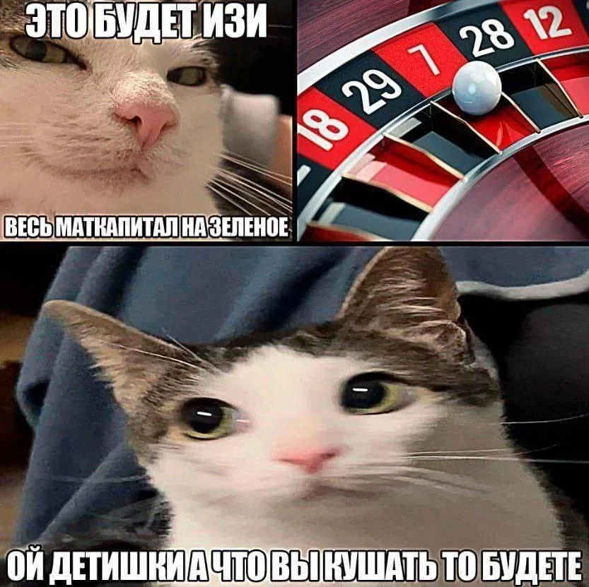 {TEXT?}