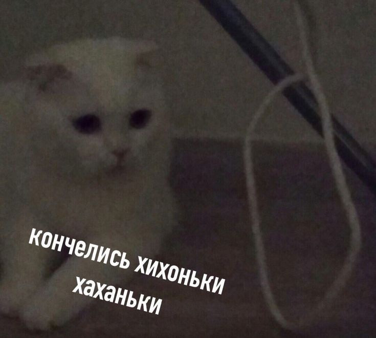 {TEXT?}