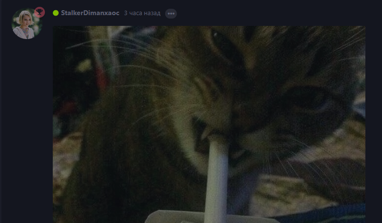{TEXT?}