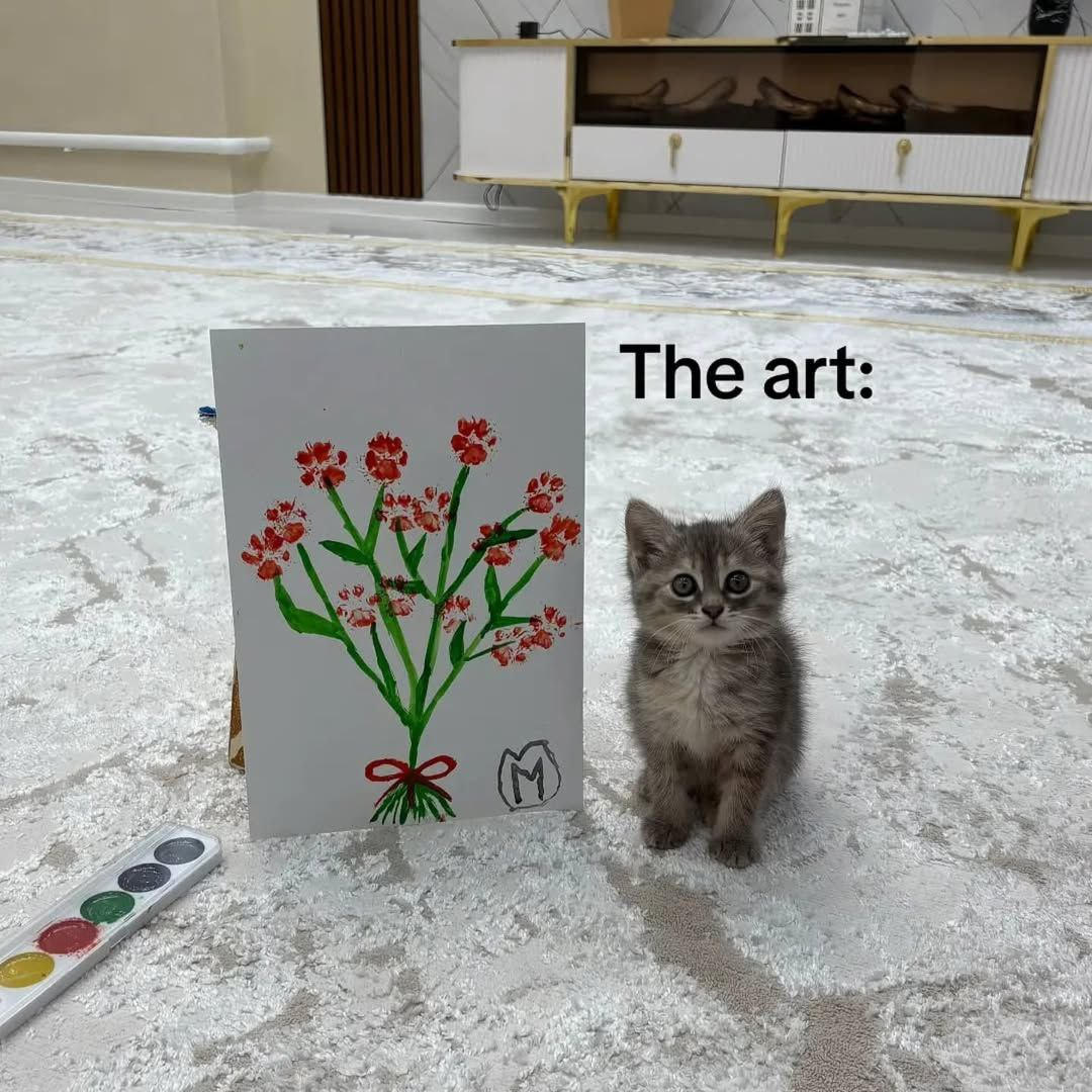 {TEXT?}