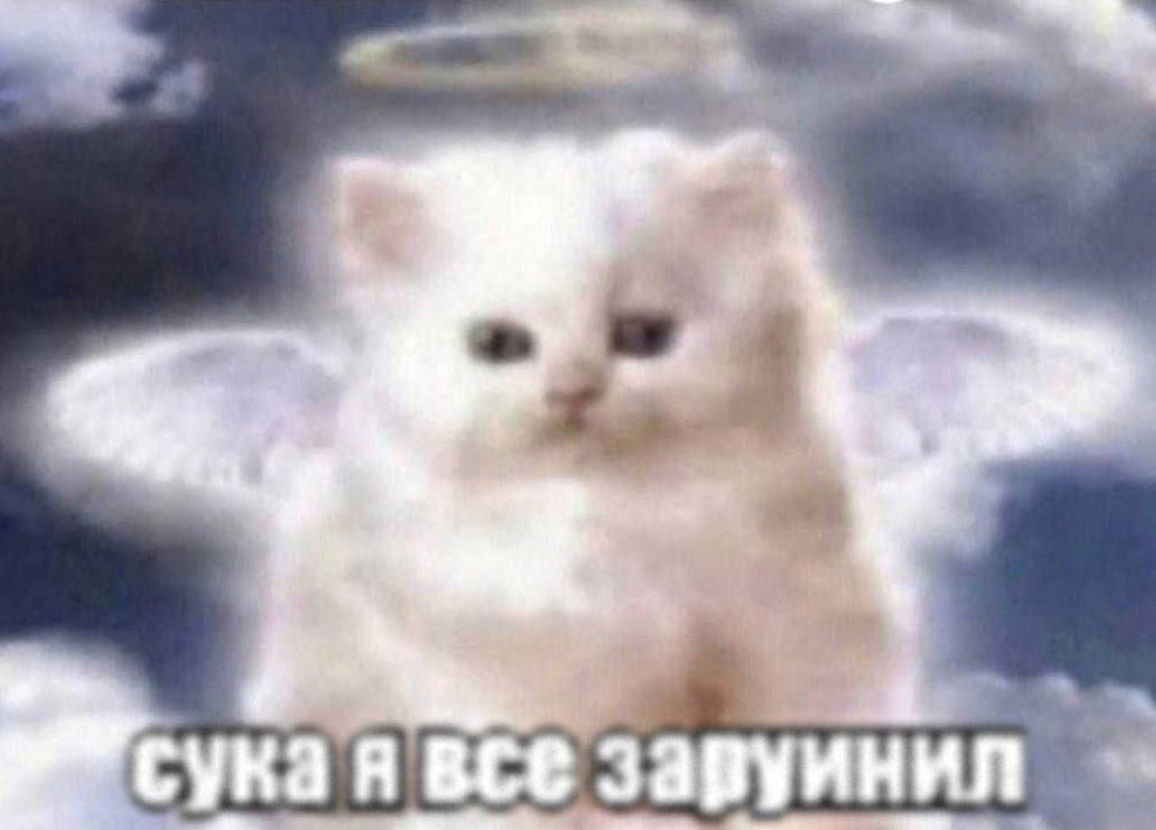 {TEXT?}