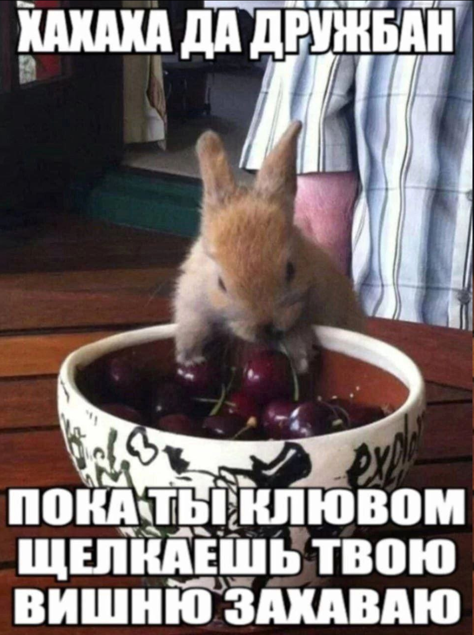 {TEXT?}