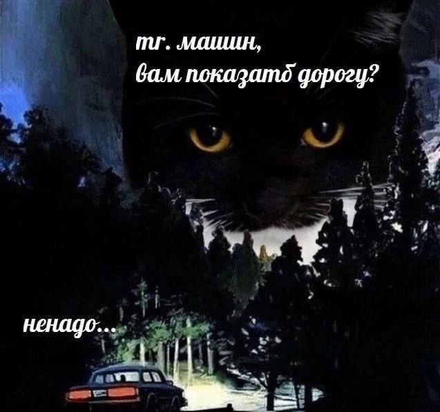 {TEXT?}