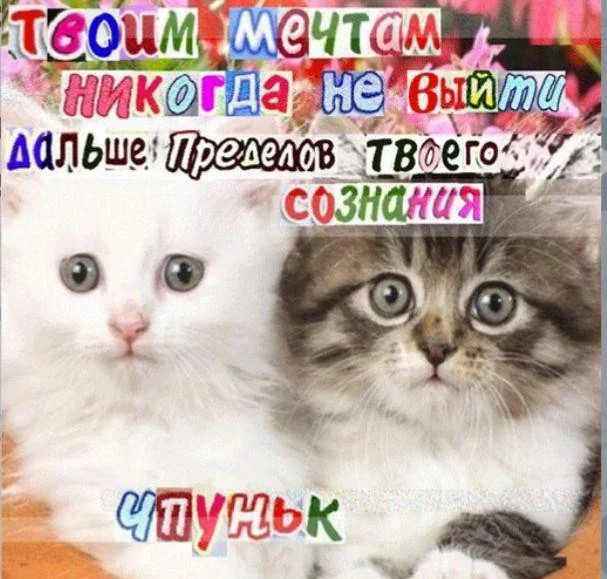 {TEXT?}